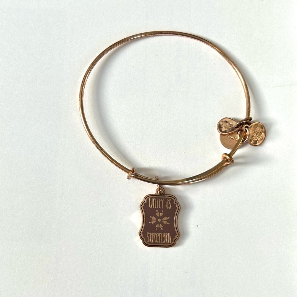 Unity is strength Alex and ani